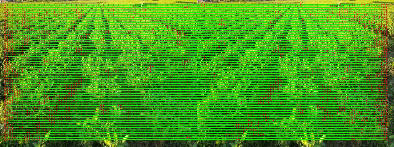 Tea forest Matches