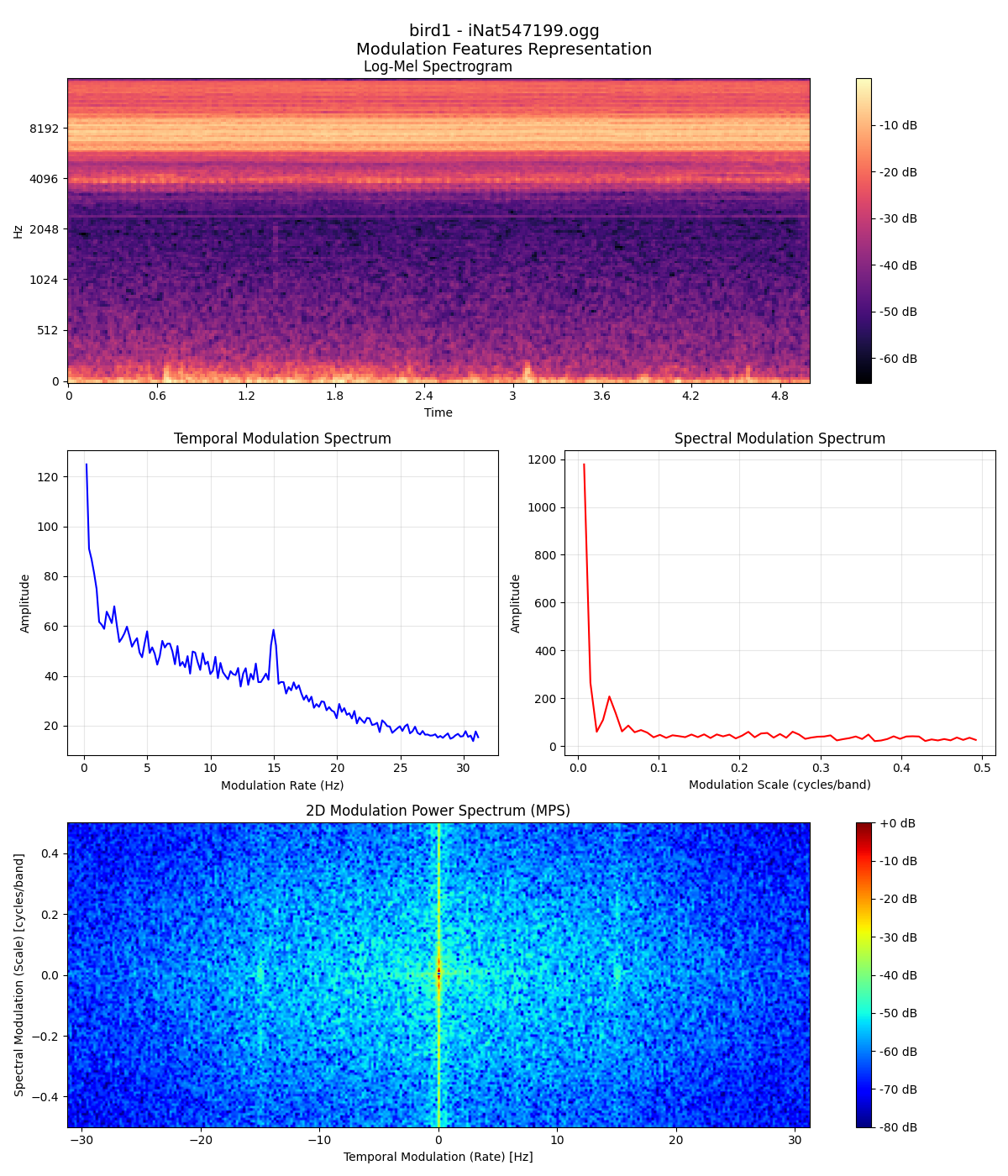 Bird 1 Modulation