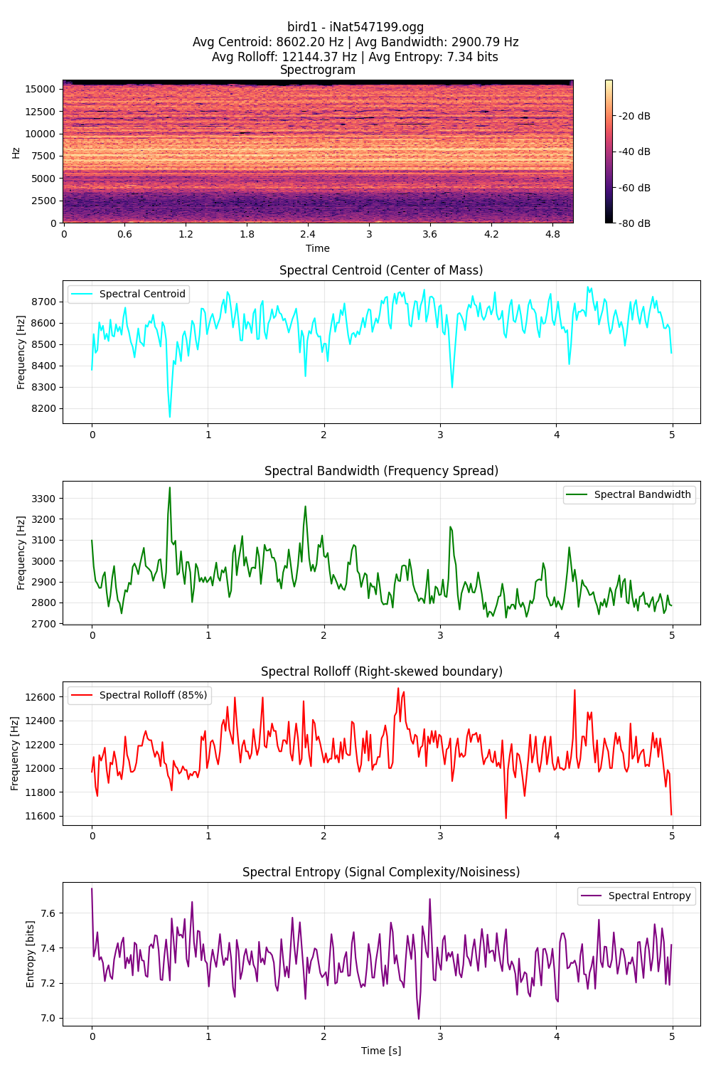 Bird 1 Spectral Features