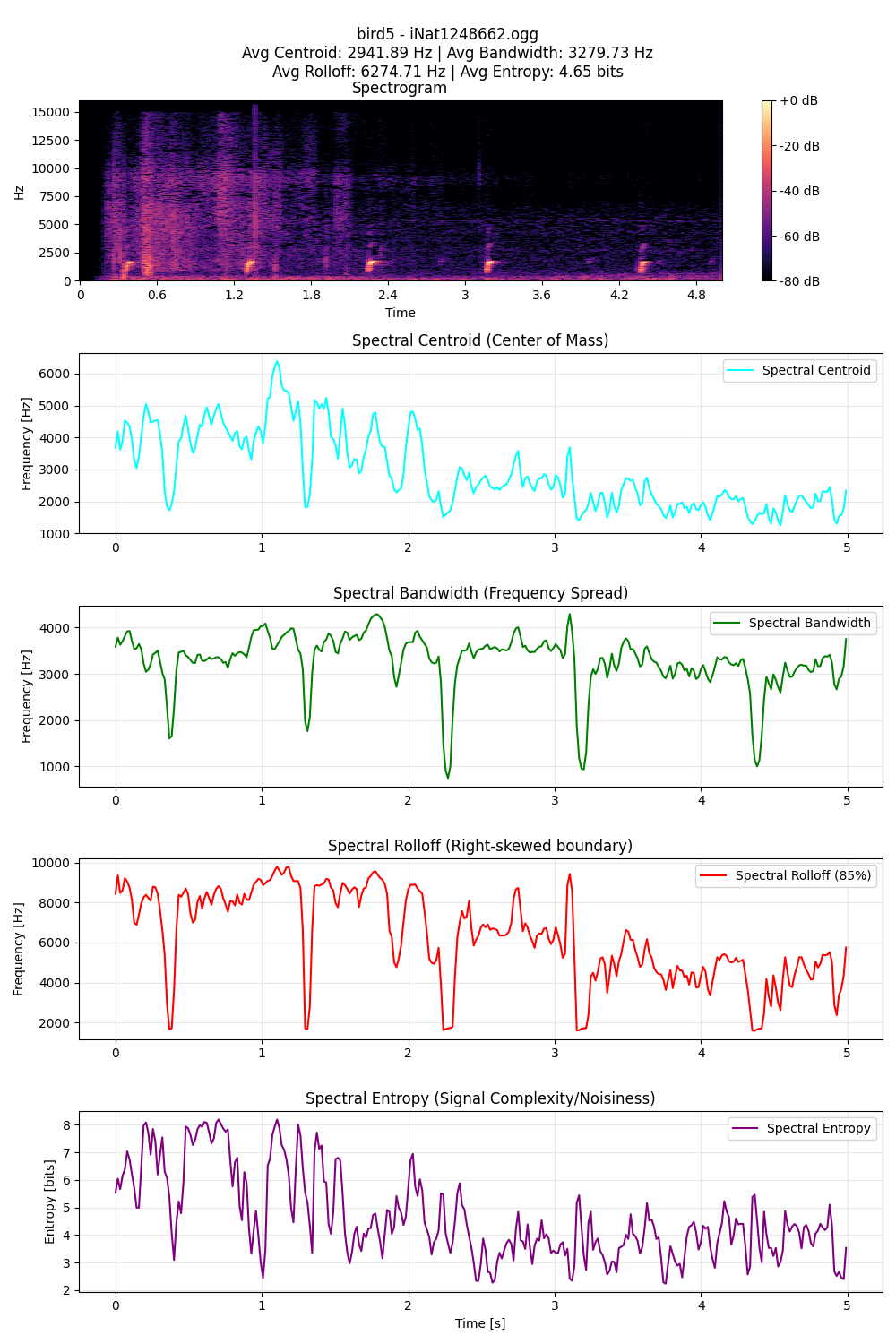 Bird 5 Spectral Features