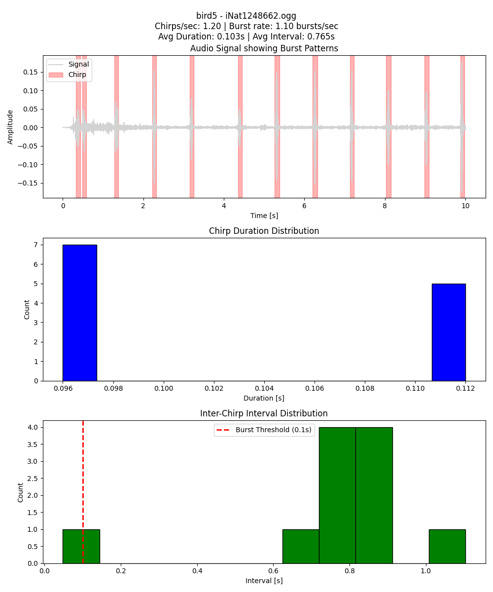 Bird 5 Temporal Patterns